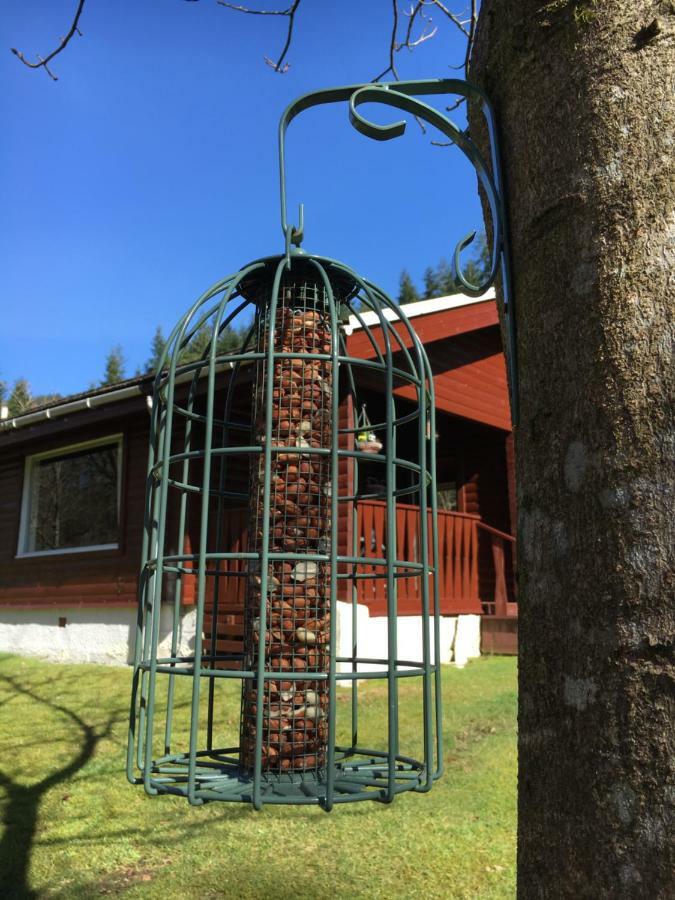 Stravaigin Lodge Dunoon Esterno foto